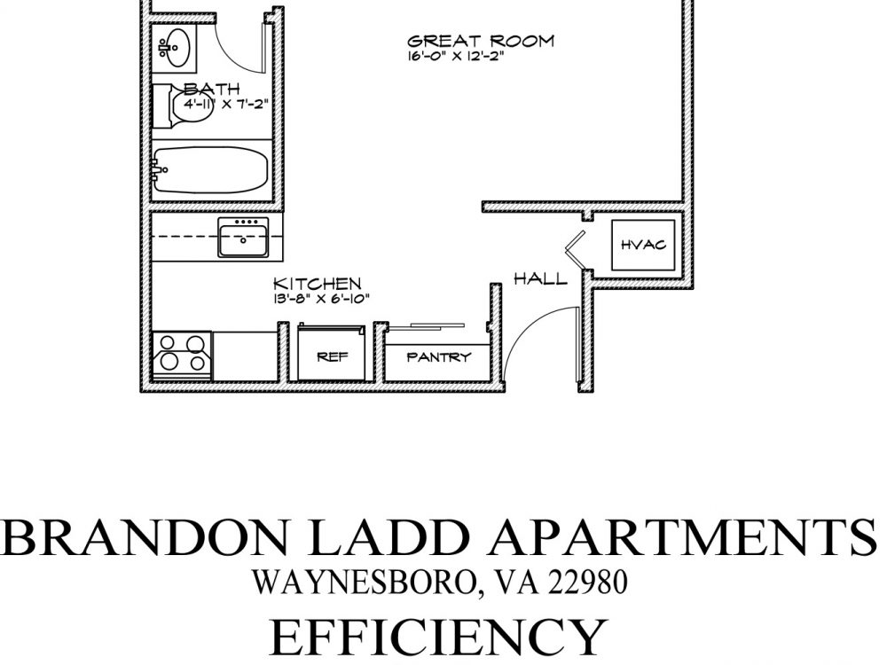 Brandon Ladd – Efficiency